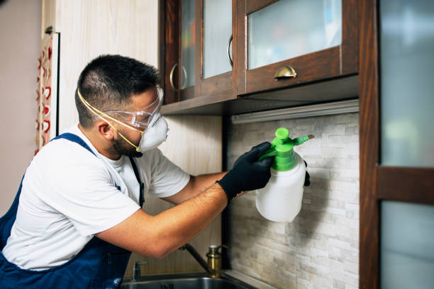 Best Pest Control for Businesses  in Lander, WY