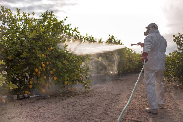 Best Affordable Pest Control Services  in Lander, WY