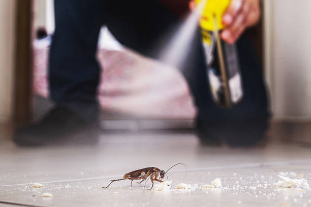Best Pest Control for Homes  in Lander, WY