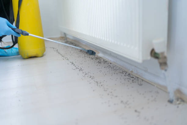 Best Residential Pest Control  in Lander, WY